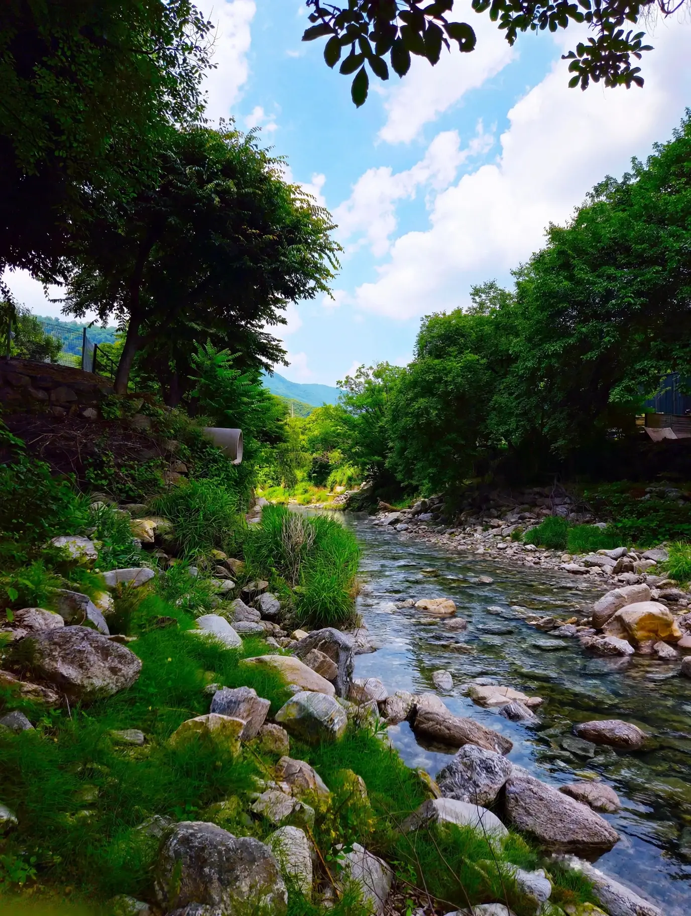 Pure Water