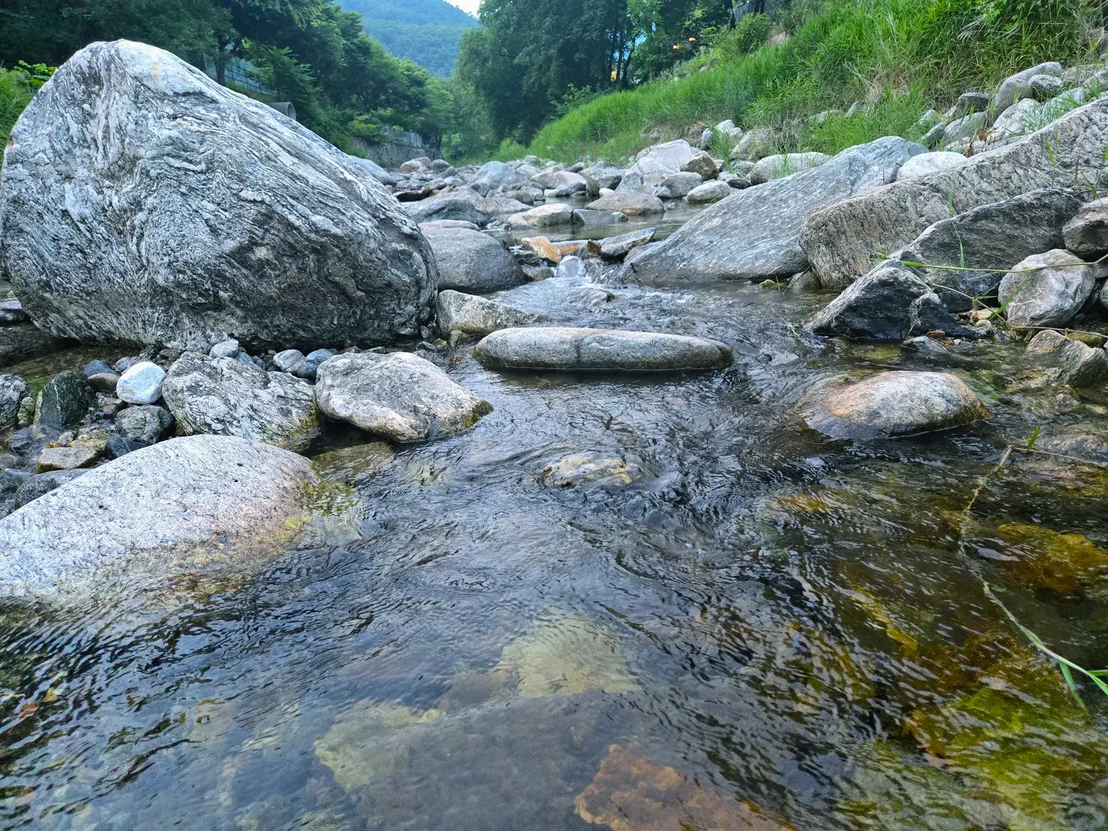 Valley Trail