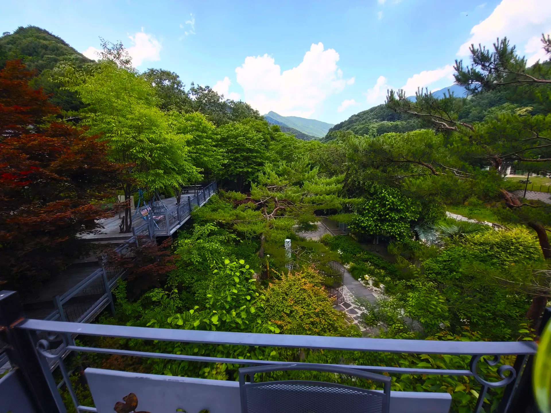 타샤의정원