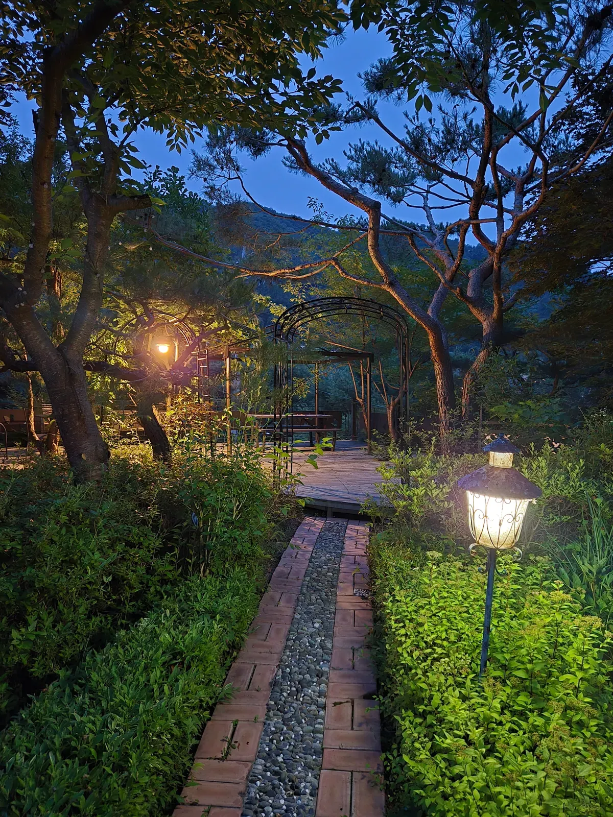 타샤의정원 야간 10