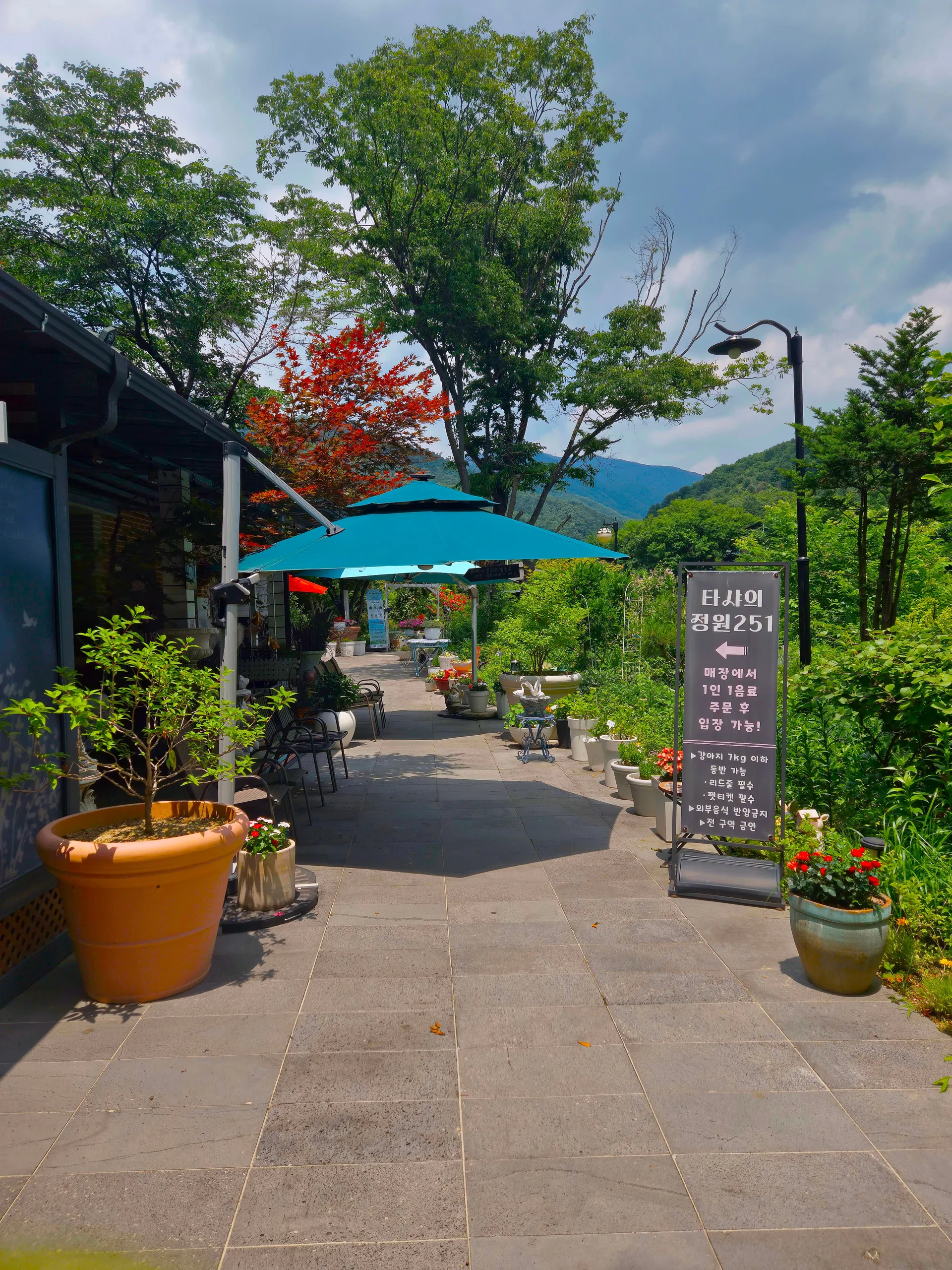 타샤의정원251 카페